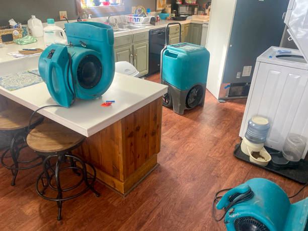Best Carpet water damage restoration  in Oologah, OK
