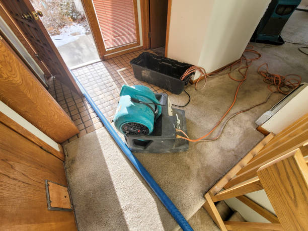 Best Professional water damage repair  in Oologah, OK