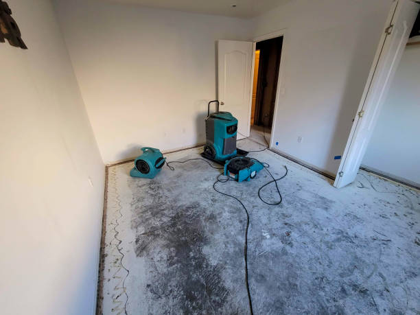 Best Flood restoration services  in Oologah, OK